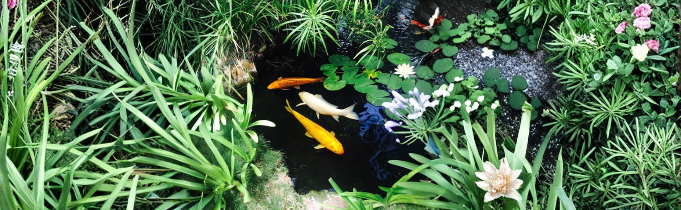 slider background image 4